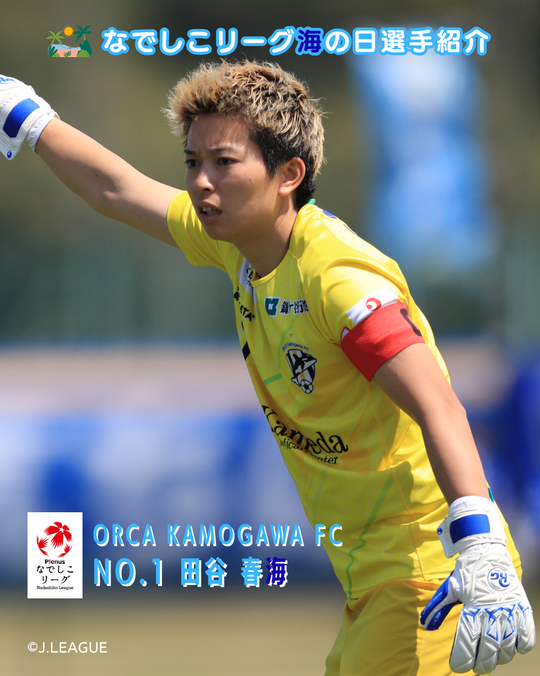 オルカ鴨川ＦＣ_田谷春海_1.png