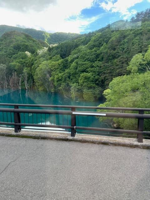 20260519_バニーズ_4.jpeg