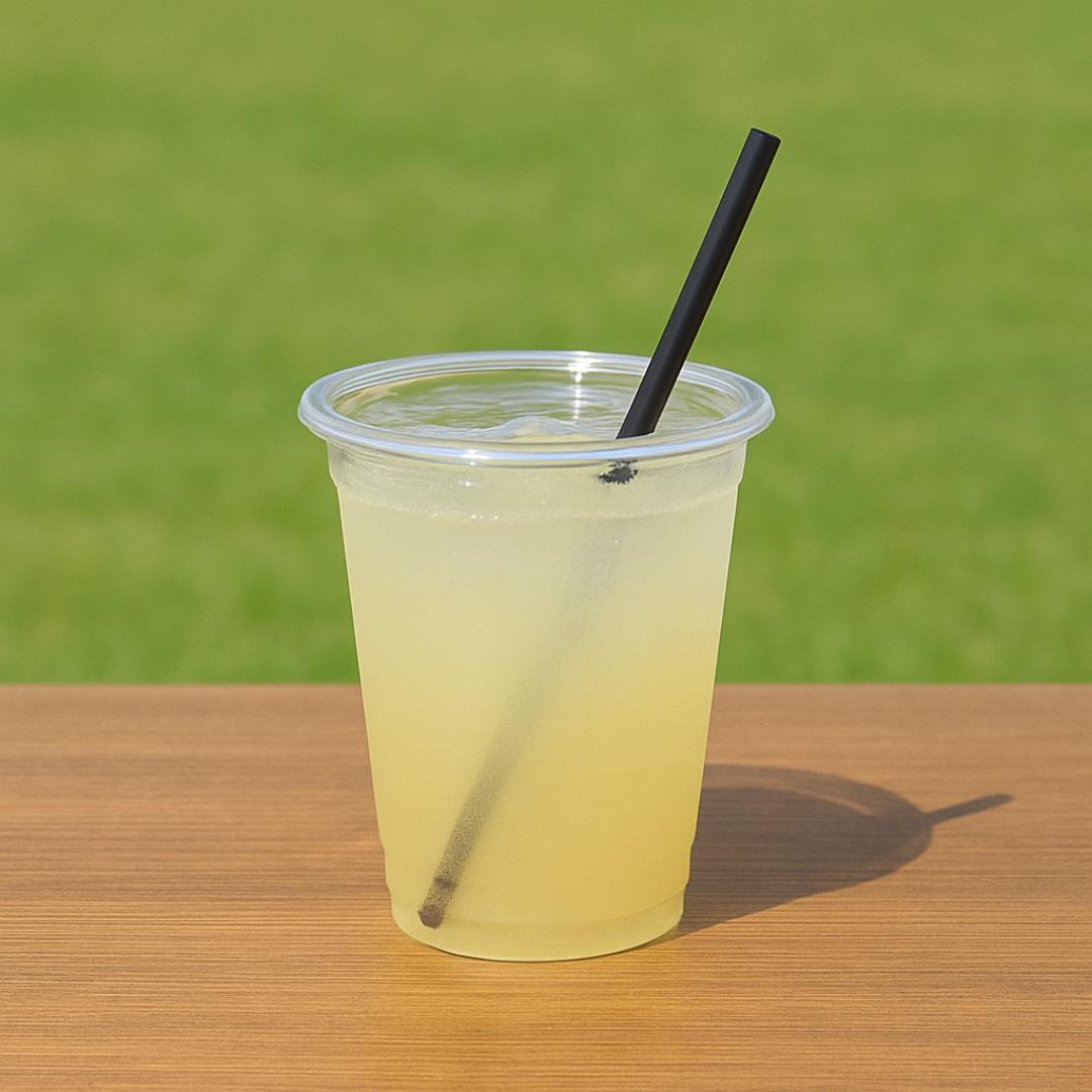 20261013_Ａハリマ_3.jpg